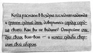 В голове у Эми как будто раздался щелчок Но она решила что ей нет дела до - фото 1