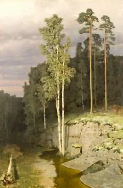 На Валааме Этюд 1873 г Собственность Общества имени А И Куинджи С - фото 10