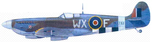 LF Mk IXC гроупкептэна Александра Габжевича сентябрь 1944 г LF Mk XII - фото 98