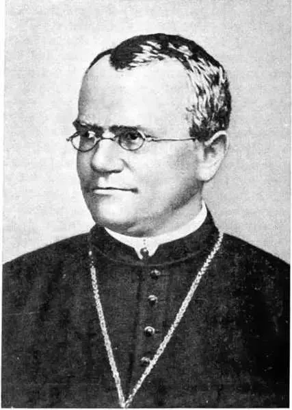 Грегор Иоганн Мендель родился в Хинчицо в Силезии Родители его были - фото 49