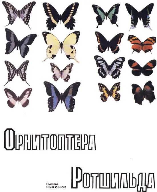 Мечты Наши путешествия не обошлись даром ни мне ни Расселу Примерно дватри - фото 11