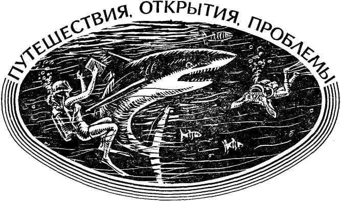 Ю Колмаков Я ЭКЛИПС Документальная повесть ВАЙГАЧ 1914 Начальник - фото 8