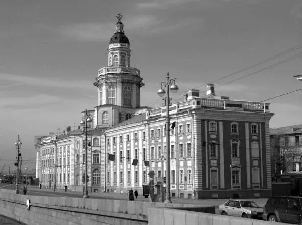 Кунсткамера Современный вид С 1714 года вещи начали приводить в порядок - фото 67