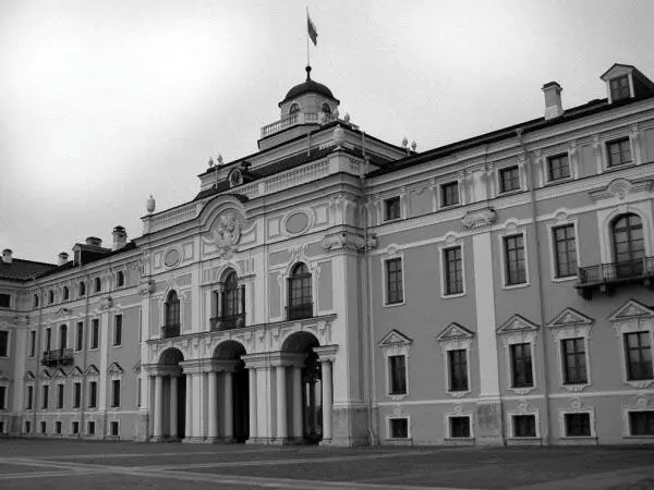 Константиновский дворец Здание Стрельнинского дворца должно было располагаться - фото 91