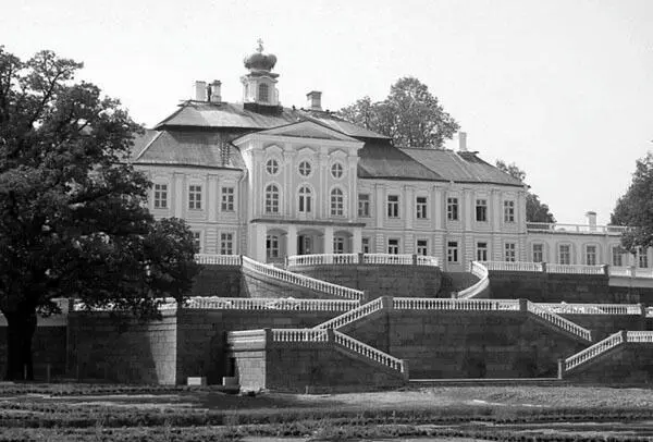 Меншиковский или Большой дворец АД Меншиков для своей загородной резиденции - фото 96