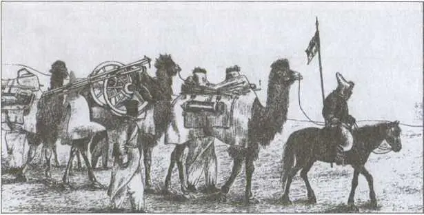 Зимний поход 1839 года Горные 10фунтовые орудия на верблюдах Зимний поход - фото 9