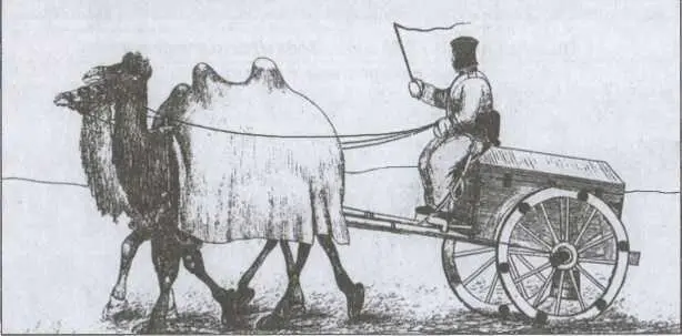 Зимний поход 1839 года Артиллерийский зарядный ящик в верблюжьей упряжке - фото 10