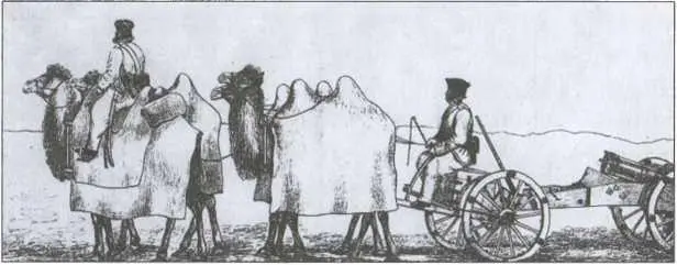 Зимний поход 1839 года Орудие конноартиллерийской роты в верблюжьей запряжке - фото 12