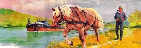 В Голландии сегодня как и в средние века лошади тянут по каналам баржи с - фото 25