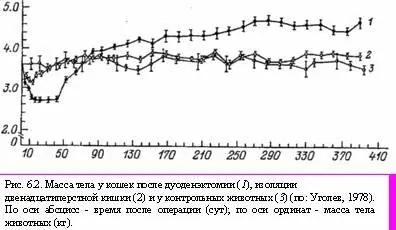 Вторая фаза развивается у тех животных у которых кахексический синдром выражен - фото 18