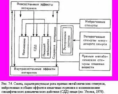 74 Некоторые гормональные эффекты при экспериментальных и клинических - фото 23
