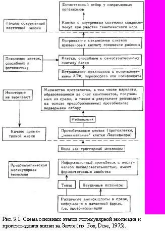 Заслуживает внимания аналитикоисторический обзор Б М Кедрова и К Б - фото 27