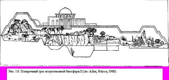 Недавно эти же исследователи Allen Nelson 1986 представили описание - фото 8