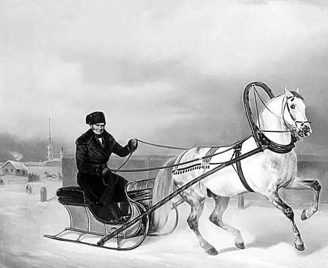 АГ ОрловЧесменский в санках на Барсе НЕ Сверчков Два года везли кружным - фото 52