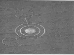 Фотографии таинственных кругов появившихся на полях графства Уилтишира - фото 11