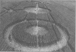 Фотографии таинственных кругов появившихся на полях графства Уилтишира - фото 12