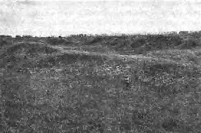 Рис 54 Остатки валов вокруг Биляра Фотография июня 2012 года Рис 55 - фото 54