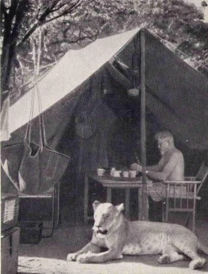 Июнь 1959 года лагерь Эльсы После долшлй разлуки Рожденная свободной - фото 28