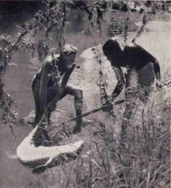 Джордж и Македде убили крокодила Джеспэ в январе Прибыли в Серенгети - фото 47