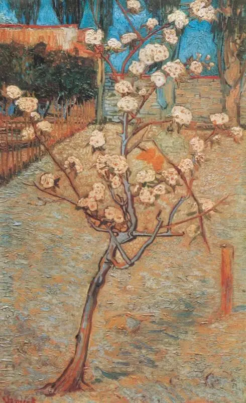 В Ван Гог Цветущая груша 1888 Музей Амстердам В Ван Гог Осенняя - фото 104