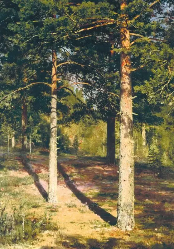 И И Шишкин Сосны освещенные солнцем 1886 Третьяковская галерея Москва - фото 159