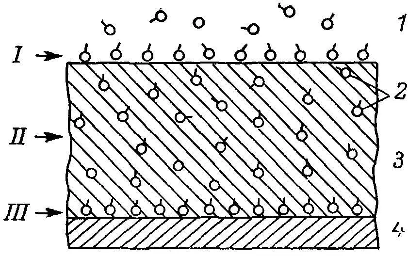 Рис 5 Упрощенная схема распределения адсорбированных ферментов на поверхности - фото 5