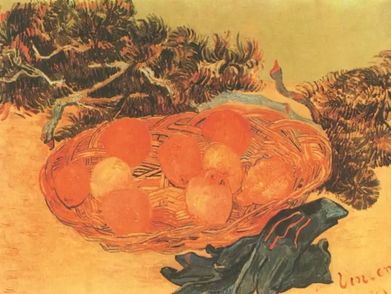 В Ван Гог Натюрморт с сосновой веткой и перчатками 1889 собрание ван - фото 111