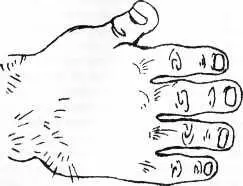Рука называемая элементарной принадлежит с точки зрения хиромантии - фото 112