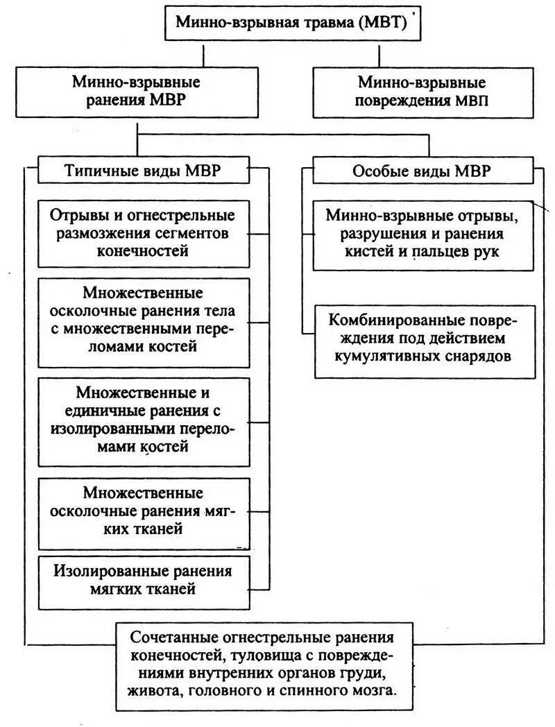 В 1993 г JIH Бисенков и соавт предложили классификацию схема 6 в основу - фото 4