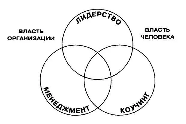 Рисунок 7 Составляющие роли линейного менеджера классифицированные по - фото 8