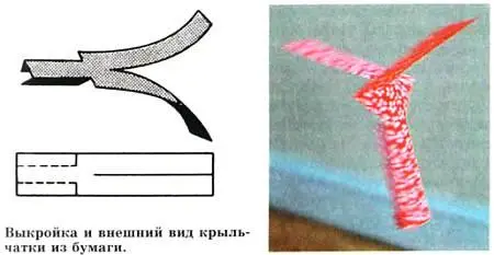 После этого зажимаем палочку между ладонями и быстро раскручиваем ее как бы - фото 48