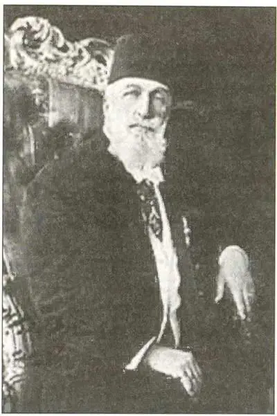 Абдул Меджид II В связи с отъездом султана Великое национальное собрание - фото 112