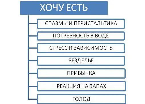 Рис 2 Набор сигналов интерпретируемых как Хочу есть Спазмы Человек - фото 3