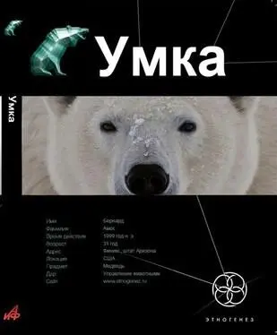 Соло это же рассказы Георгий Гончарук Умка Когда единственный шанс на - фото 30
