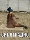 Егор Жигулин Итоги 4 тура Четвертый тур был непростой вопервых очень - фото 54
