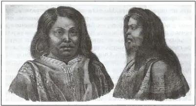 Арауканцы коренные жители Чили Рисунок художника Л Хориса Однако мы - фото 141