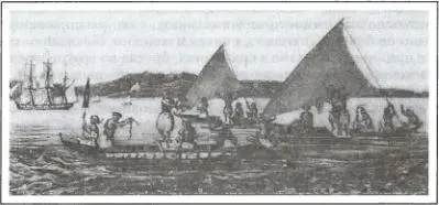 Парусные лодки жителей Каролинских островов Рисунок А Постеля 1828 г - фото 159