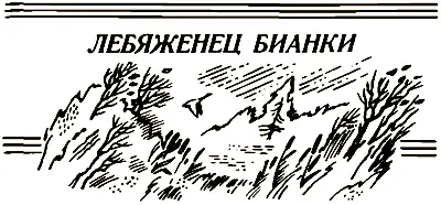 Разные памяти бывают трудная память учения когда частенько силком впихивает в - фото 4