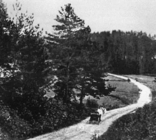 Окрестности Михайловского Фотография 1906 A C Пушкин Автопортрет - фото 8