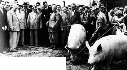 Советская делегация во главе с НСХрущевым осматривает свиноводческое - фото 26