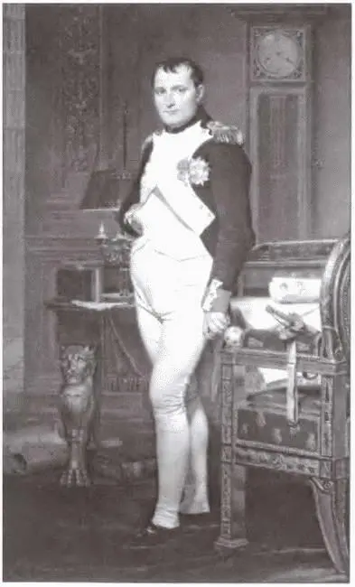 Наполеон в своем рабочем кабинете Художник ЖА Давид Г Нельсон - фото 4