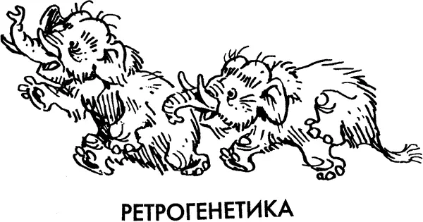 Славный майский день завершился небольшой образцовопоказательной грозой с - фото 6