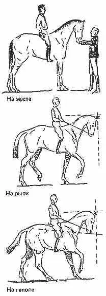 Рис 23 Неправильный сбор Начинающий всадник может не разобраться в этой - фото 23