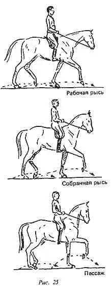 Обычный постав Обычным поставом называют степень сбора которую вырабатывают у - фото 25