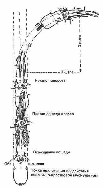Рис 33 Поворот на движении чтобы рисунок был более ясным центробежная сила - фото 33