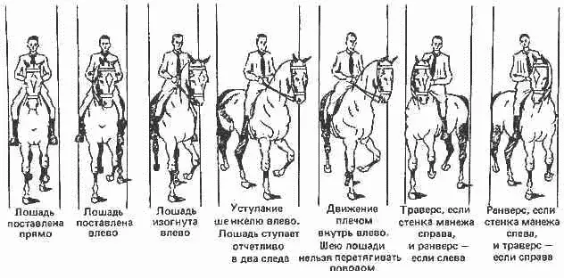 Рис 36 Каждый всадник идет прямо на зрителя Кажется что всадники сидят - фото 36