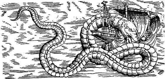 Морская змея Геснер 1598 Четыре части Зоологии Геснера четыре толстых - фото 51