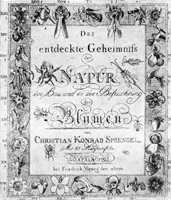 Титульный лист книги Шпренгеля Раскрытая тайна природы 1793 Они смеялись - фото 79