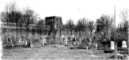 Новое Донское кладбище 1930е годы Революция сделала новое Донское самым - фото 101