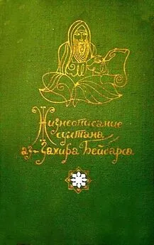  Средневековая литература - Жизнеописание султана аз-Захира Бейбарса